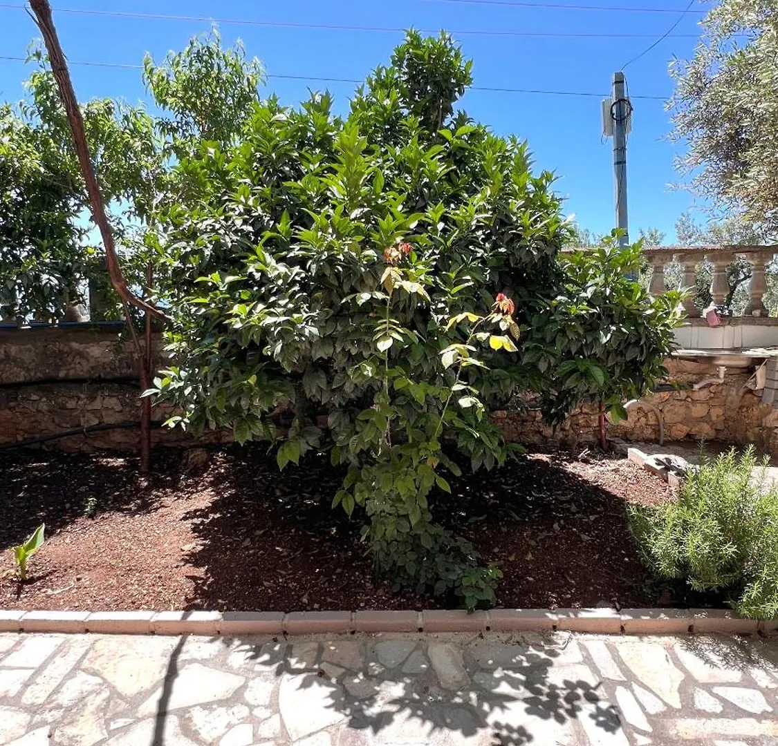 Petra Oliva Apartment Dhërmi