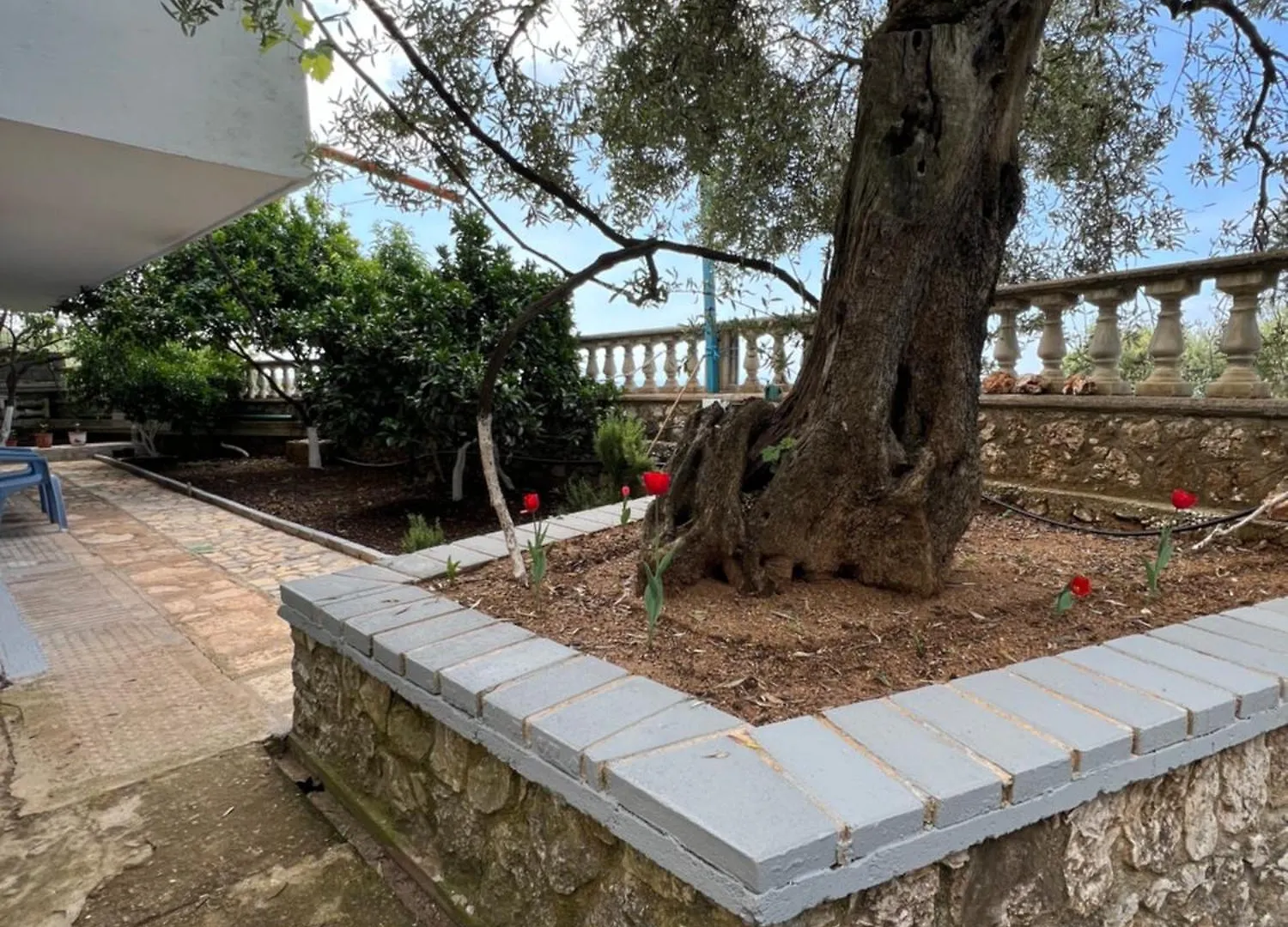 Petra Oliva Apartment Dhermi